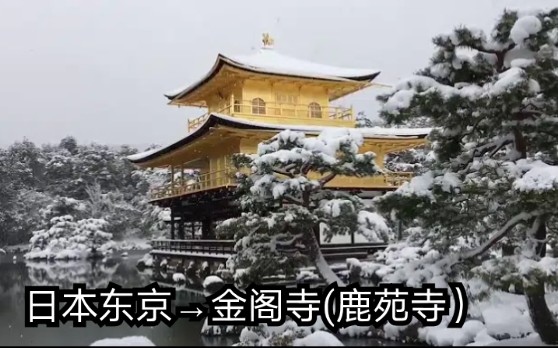 [图]【日本风景】【日本的世界文化遗产】【Kinkakuji covered with snow→金阁寺 雪景 (鹿苑寺) 】官方发布版本