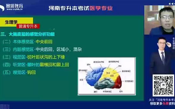 2022河南医学专升本 金牌讲师邵玉普生理学大脑皮层的感觉分析哔哩哔哩bilibili