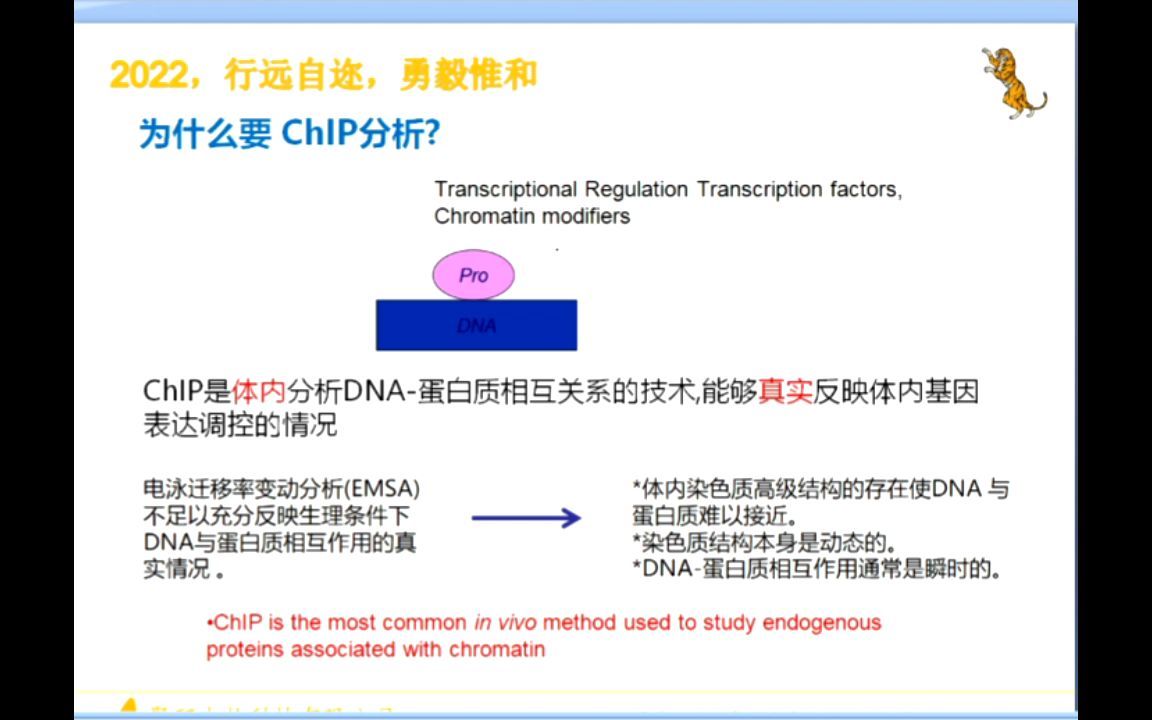 如何快速完成ChIP实验?哔哩哔哩bilibili