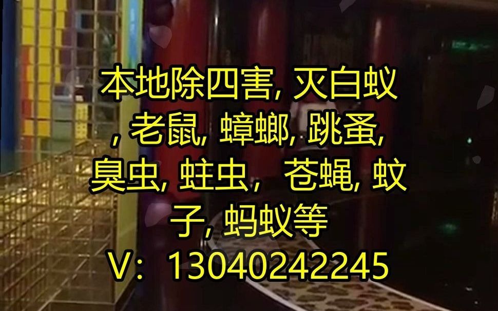 武汉市新洲区,本地除四害灭鼠公司,蜱虫,果蝇,小飞虫,蠓蚋,马陆,蚊子,跳蚤,白蚁预防,衣蛾,耗子,消毒,蜈蚣,衣鱼,苍蝇,蛀虫,臭虫,...