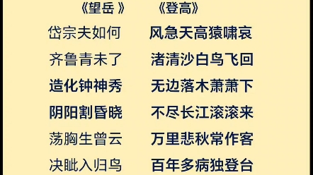 诗圣也曾磨平了棱角终究没有活成自己想要的样子 #杜甫#登高望岳哔哩哔哩bilibili