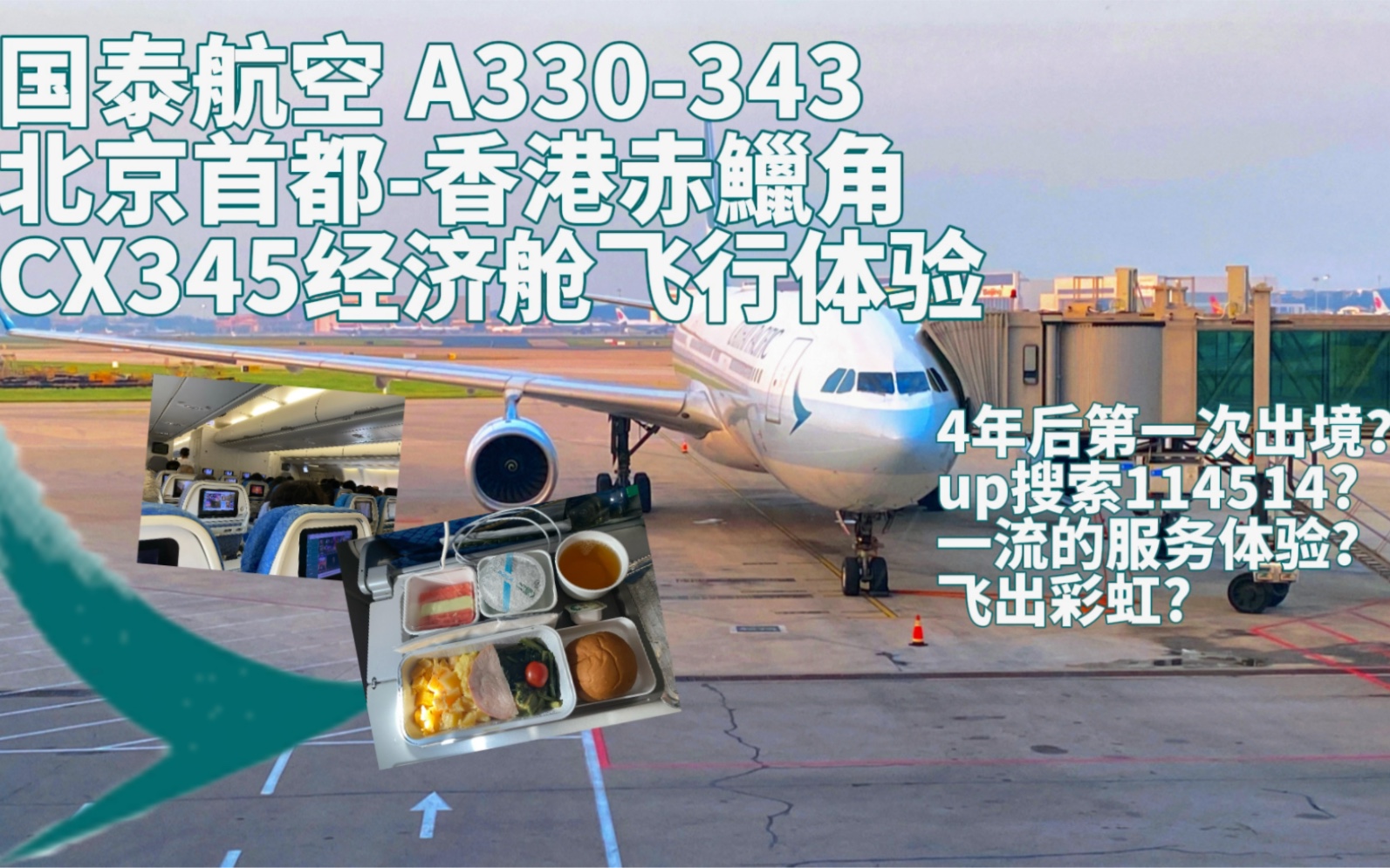 【飞行报告】国泰航空A333北京至香港经济舱飞行体验哔哩哔哩bilibili