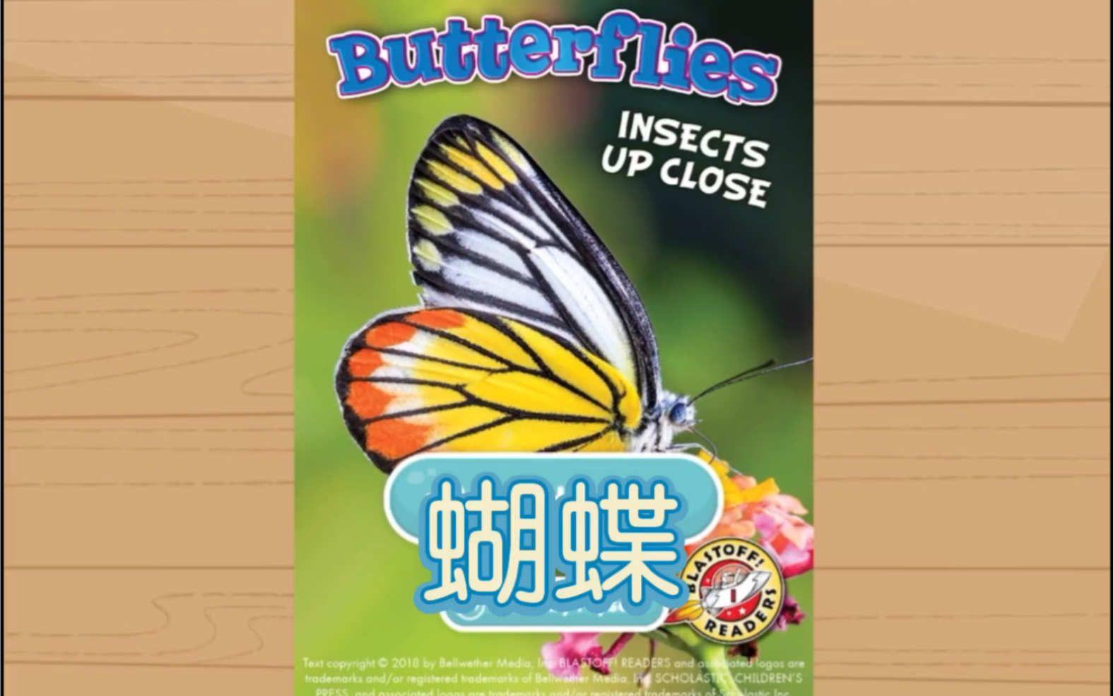 [图]【英文小科普】Butterflies 蝴蝶的一生