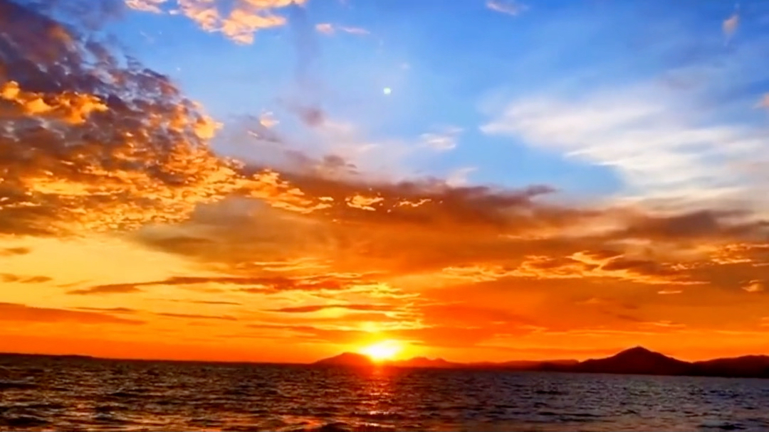 龙树都空观(大结局)