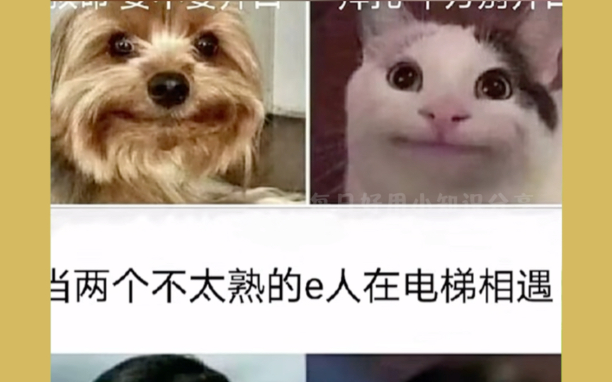 一秒辨别 i e#分享#图片#meme#i人#e人哔哩哔哩bilibili