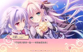 风莉 搜索结果 哔哩哔哩 Bilibili