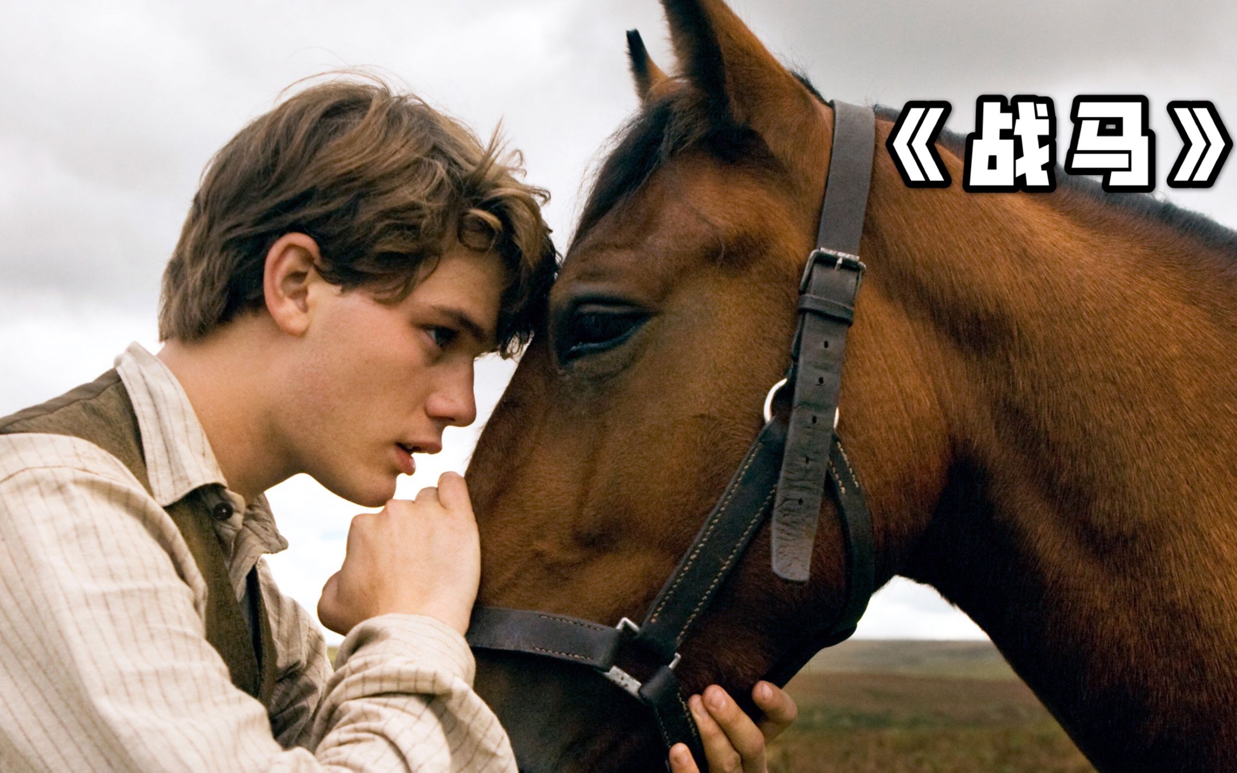 战马电影影评