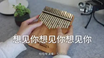 Download Video: 【拇指琴】《想见你想见你想见你》八三夭《想见你》片尾曲（卡林巴琴纯音乐）