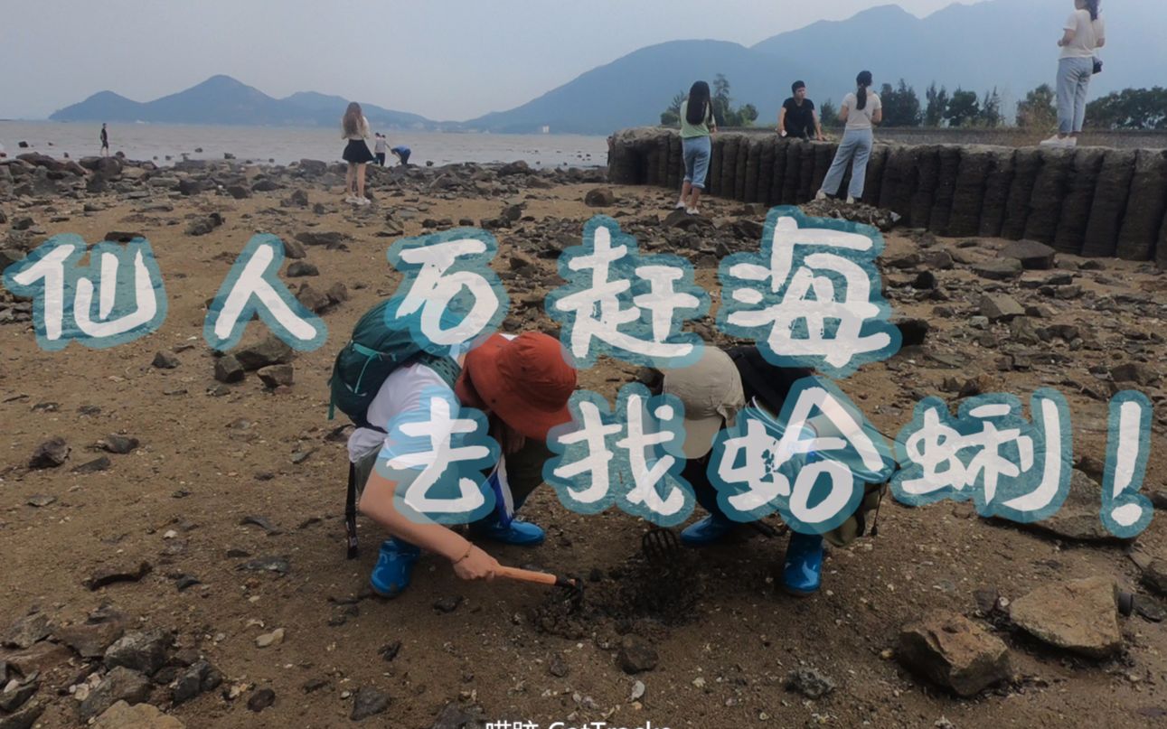 深圳趕海地點:仙人石