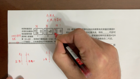 [图]答疑2:一个孩子问的两道关于用单体或三体进行基因定位的习题（如果还看不懂，可以看我之前一个专门讲单体三体的视频）