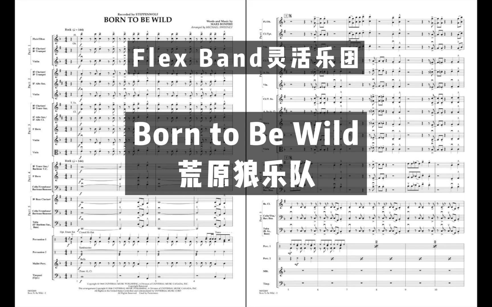 [图]【2级】Born to Be Wild 荒原狼乐队 By Michael Sweeney 2006