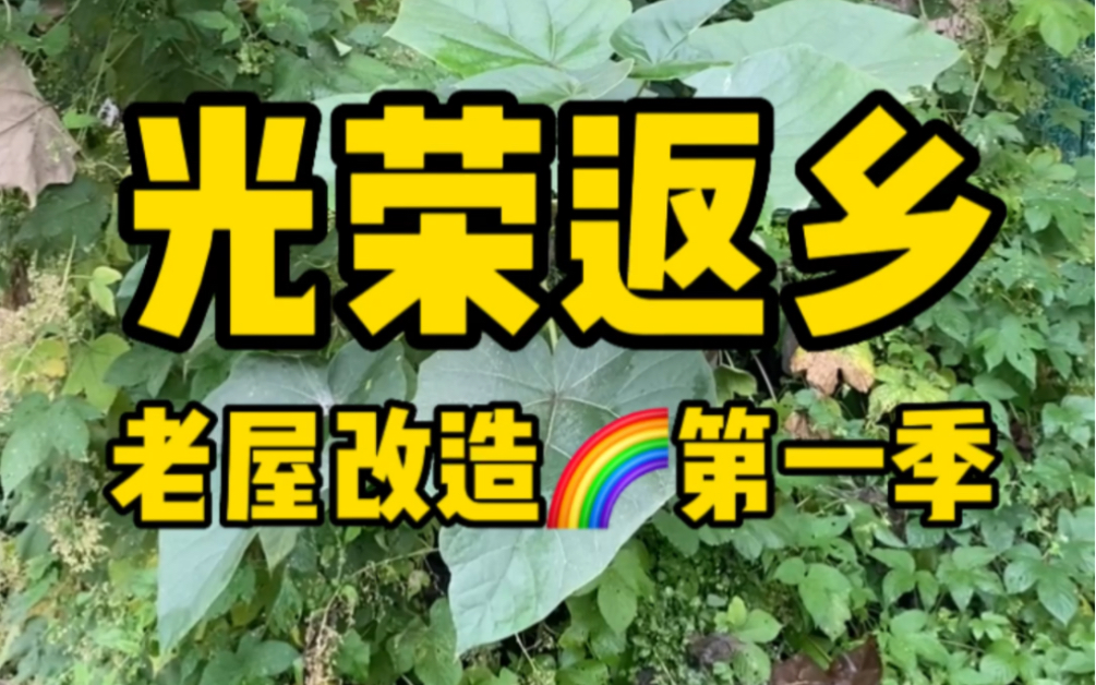 沪漂六年 西漂六年 回到农村 身心疲惫但内心踏实!三农 !农村生活!回村改造老房!打造田园小院!我的乡村小院!老屋改造!回乡创业改造家乡老房!...