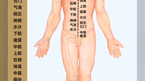 每天一图学习经络,任脉哔哩哔哩bilibili