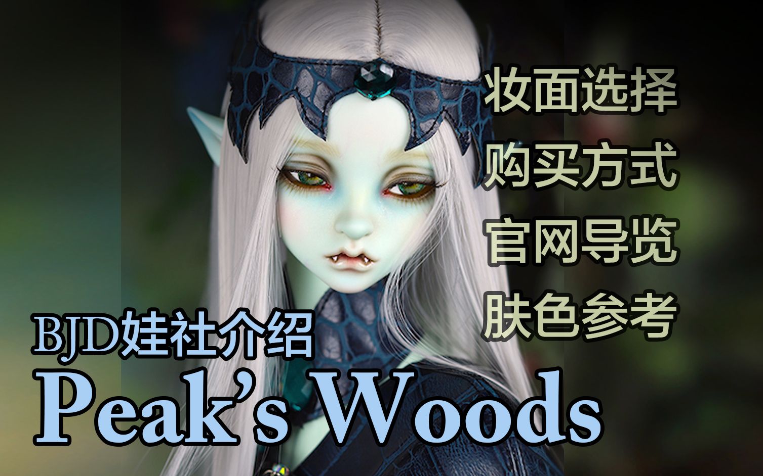 【BJD】|娃社介绍|良心娃社PeaksWoods,绝无照骗!爆肝整理在线安利!哔哩哔哩bilibili