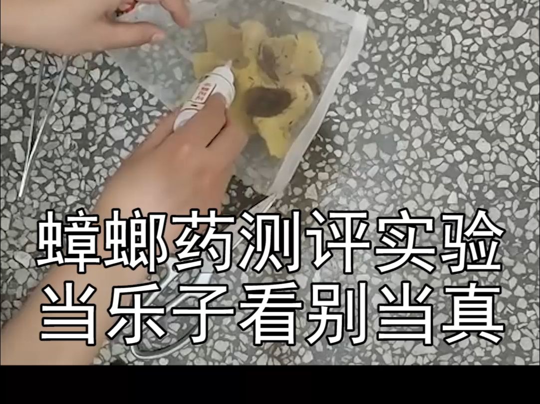 测评恰饭本无可厚非,但测评前要对我们的拜洁士灭蟑螂粉有个基本了解吧哔哩哔哩bilibili