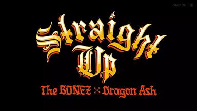 The BONEZ x Dragon Ash Straight Up巡演全纪录_哔哩哔哩_bilibili