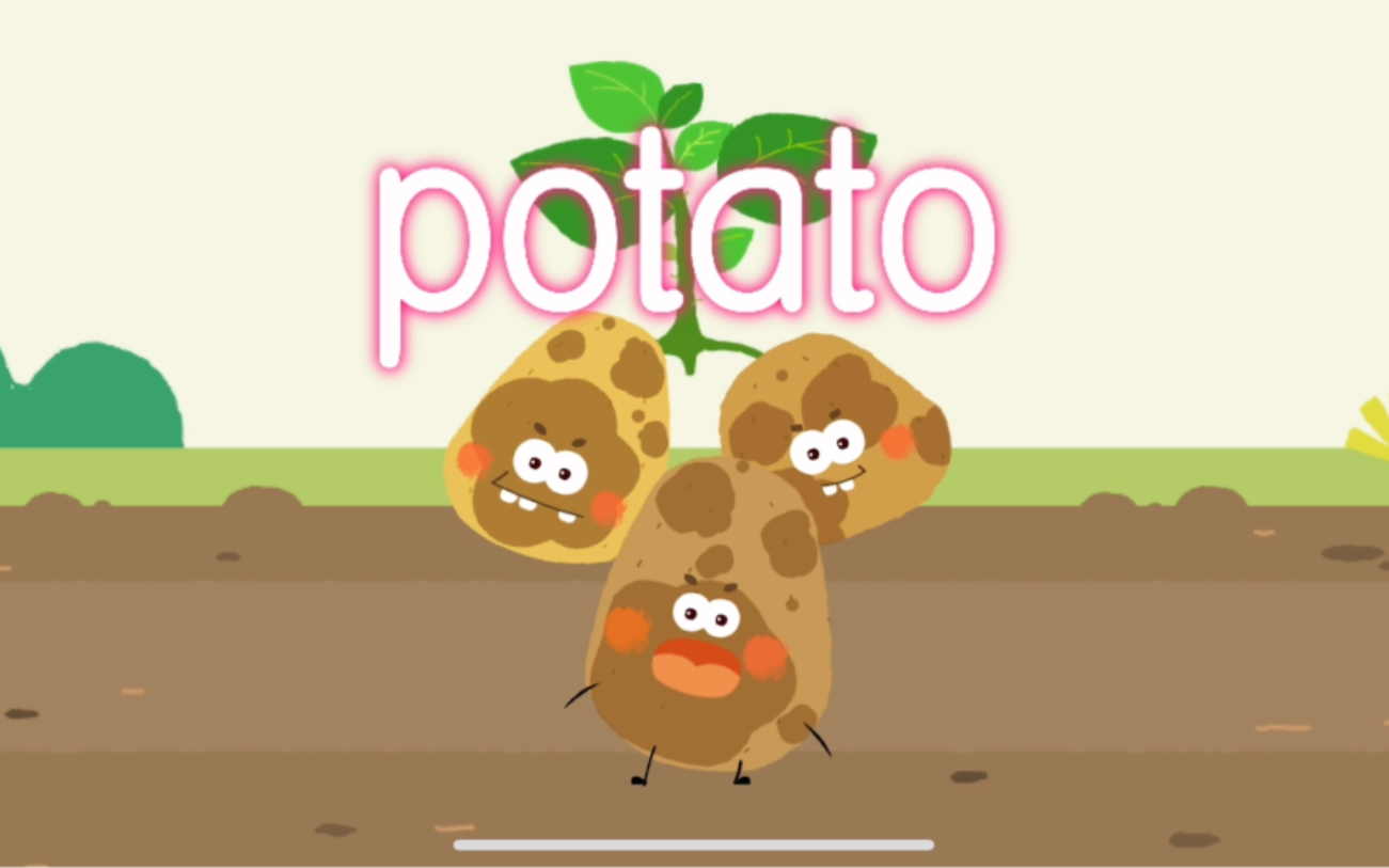 宝宝学英语,土豆(potato)我们一起来学习英语单词"potato"