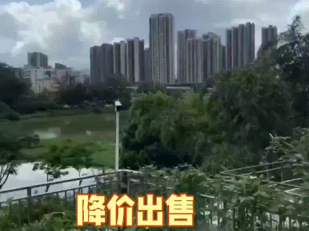 这套房位于罗湖区大望村,看东湖湖景、看山景,小三房格局,送全屋精装修,送全屋家私,整栋楼有二证一书,步梯5楼,一梯4户.山脚下空气清新,安...