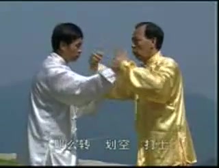 [图]张志俊陈氏太极拳2路拆拳