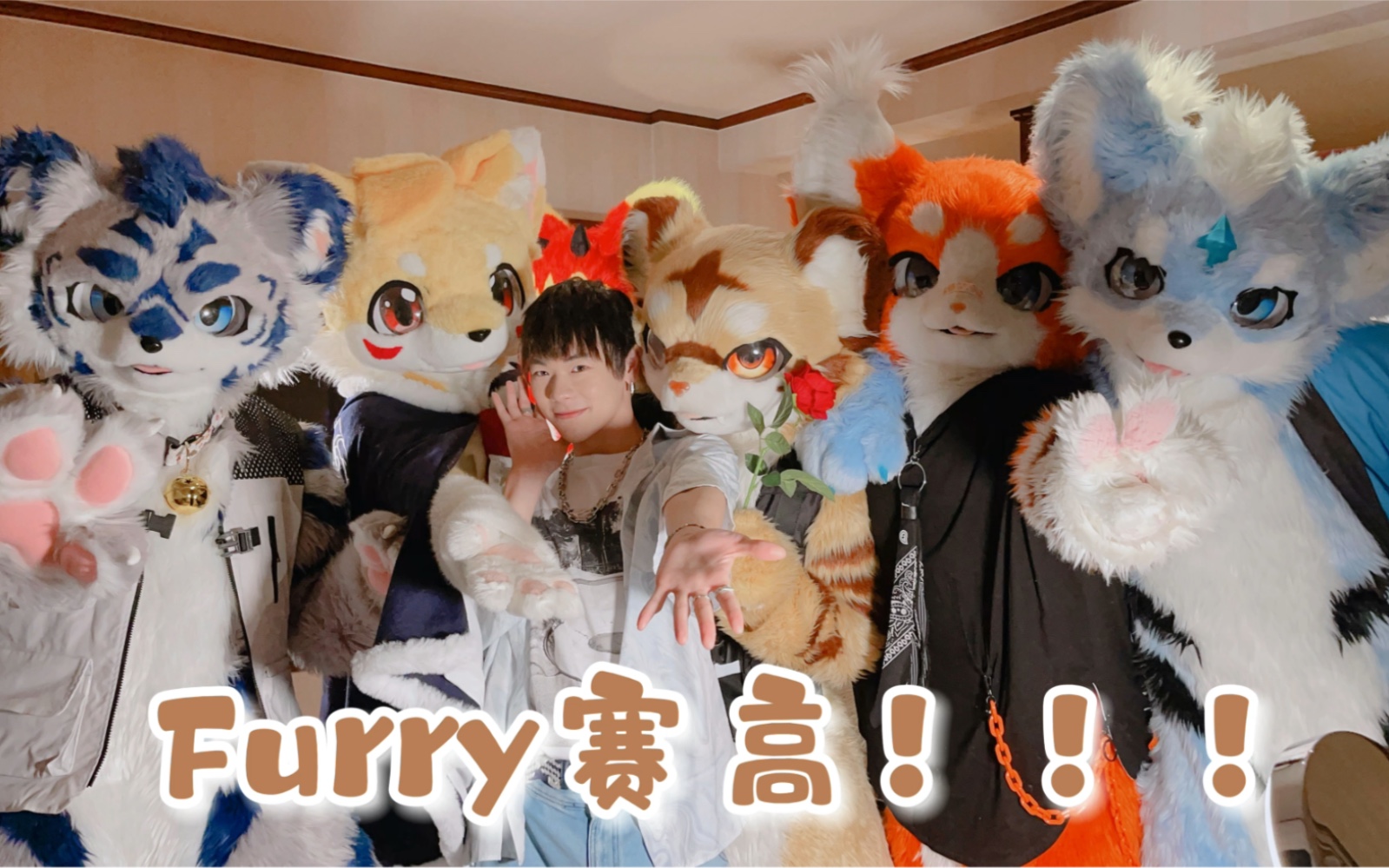 Furry控的天堂!!!超多毛毛吸到饱!!!【千叶】极兽聚Party Vlog哔哩哔哩bilibili