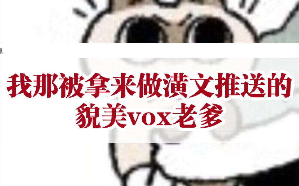 我那被拿来做潢文推送的貌美vox老爹哔哩哔哩bilibili