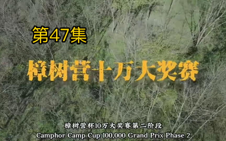 第47集 野外生存技能比拼大赛,冠军奖励10万哔哩哔哩bilibili