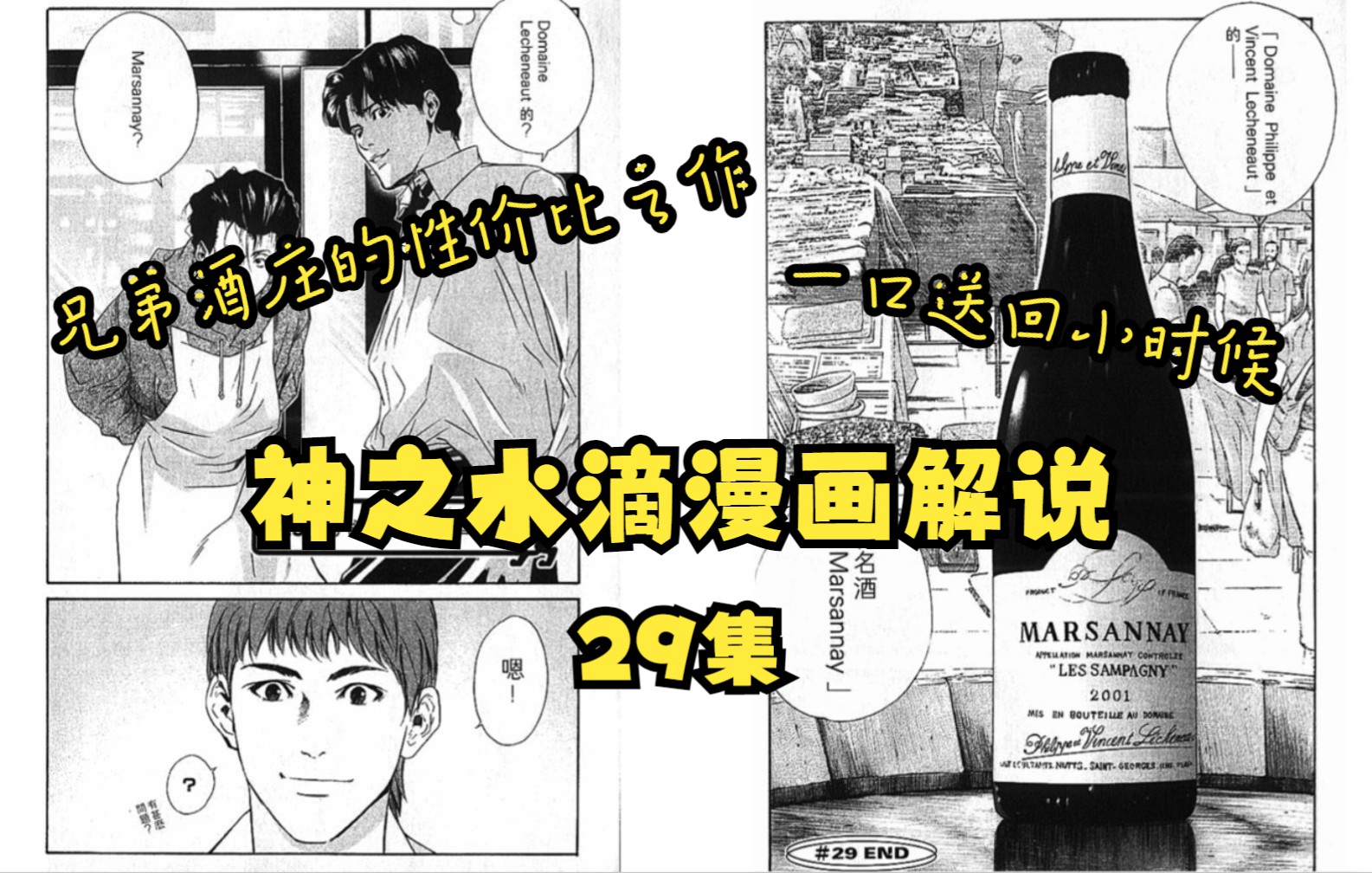 【神之水滴漫画解说】二十九集——挑战世纪难题之在勃艮第聊性价比,小农兄弟酒庄边缘村征服男主!哔哩哔哩bilibili