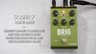 Descargar video: 【氛围音色试听】STRYMON Brig ⧸dBucket Delay｜10 Beautiful Ambient Sounds