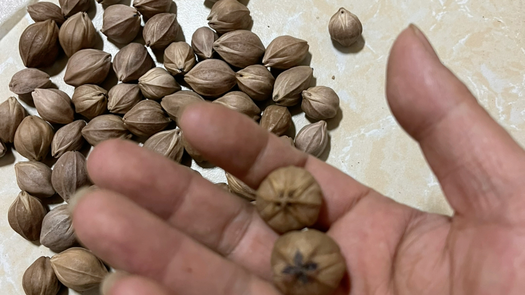 (阿扬专业梅林铁核工艺榄核原皮素串定制源头)2.