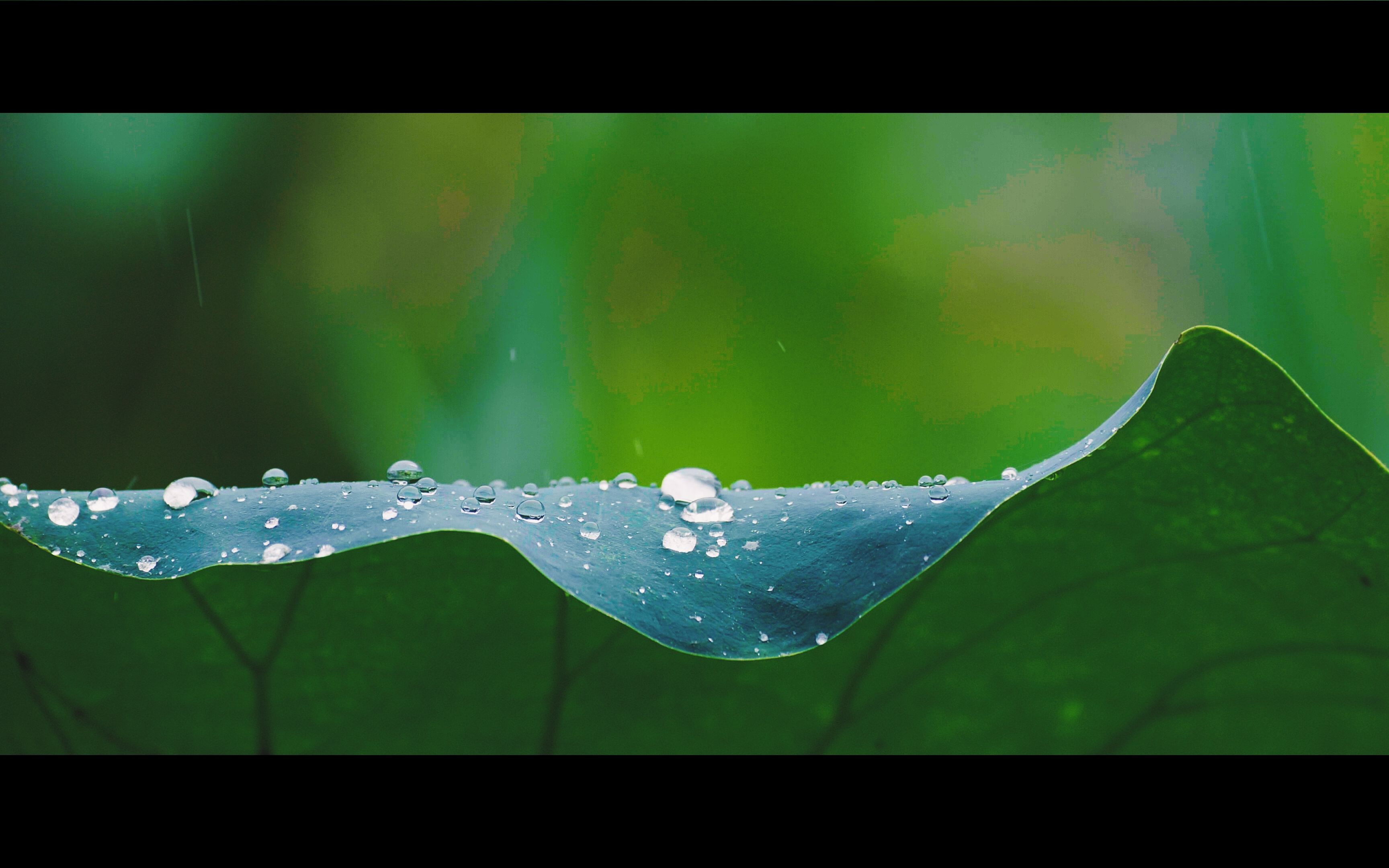 松下s5volg 杭州雨天风景素材调色练习