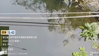 【2024.12.23】浙江省台州市温岭市