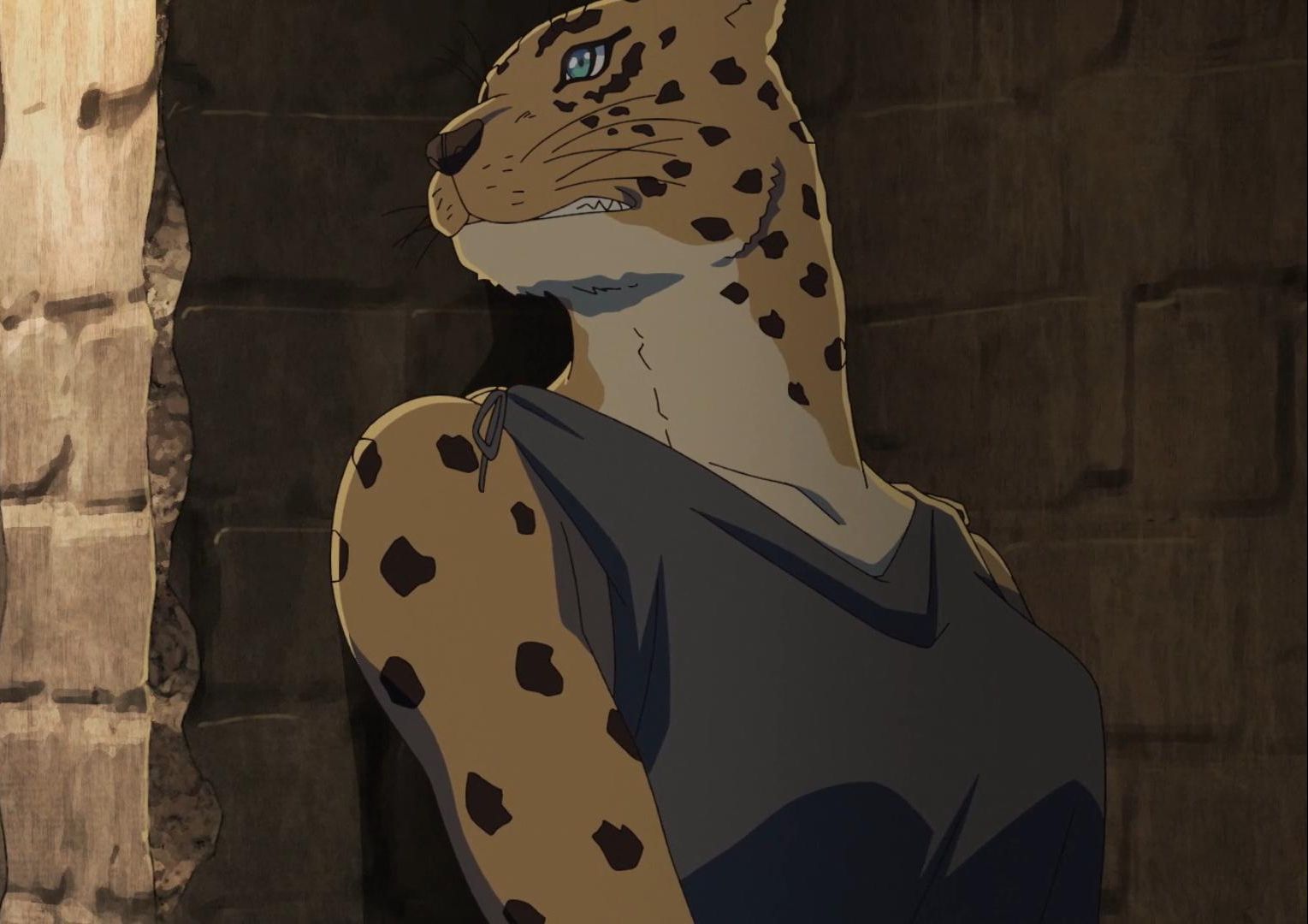 豹女竟然被公爵欺骗,决斗前下麻药,彻底死心.