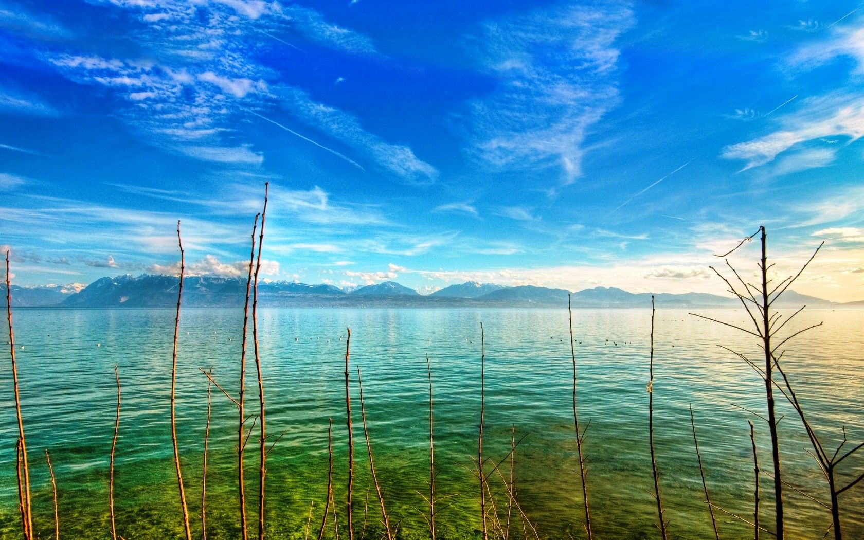 【自然静心美景】未来的你一定会感谢今天努力的自己.