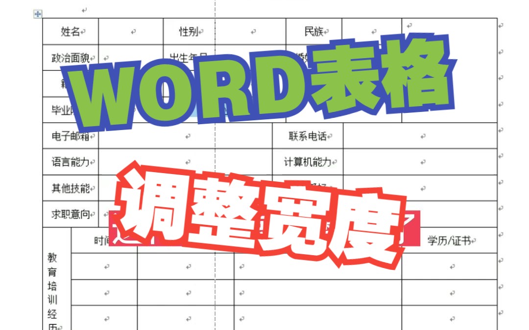 WORD表格调整宽度哔哩哔哩bilibili