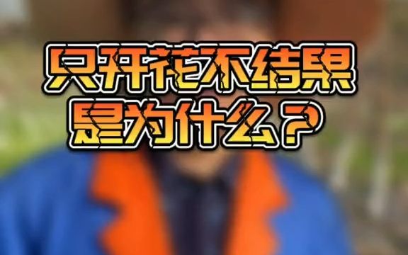 【新农村】果树只开花,不结果,怎么办?哔哩哔哩bilibili