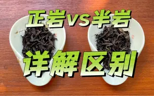 Download Video: 【茶叶知识】武夷岩茶中正岩和半岩到底有什么区别？