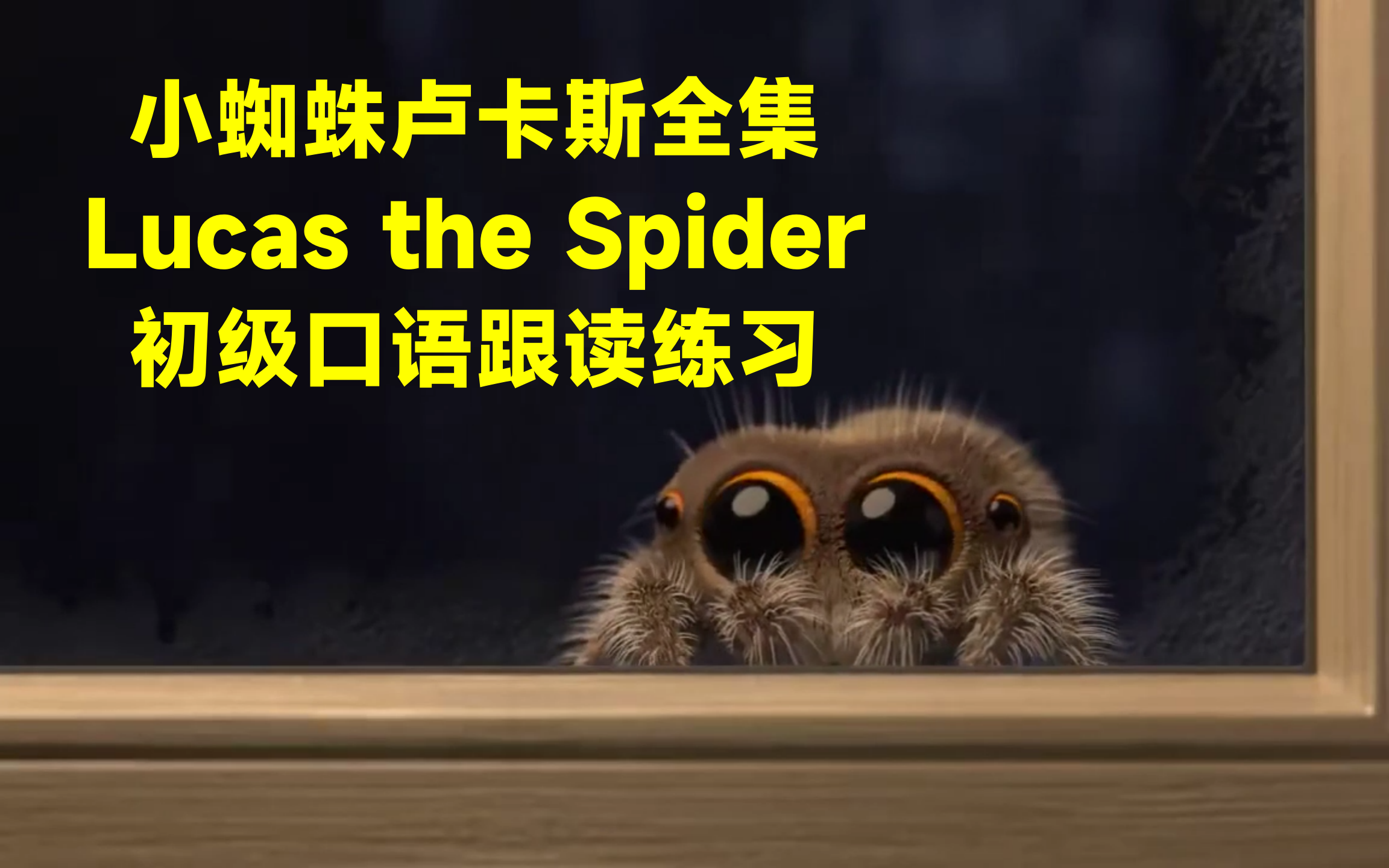 lucasthespider小蜘蛛卢卡斯全集