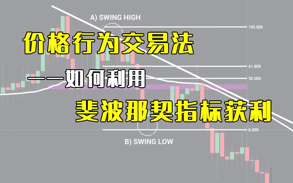 价格行为交易大法——斐波那契指标终极教程哔哩哔哩bilibili