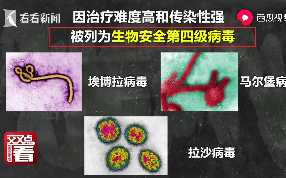 尼日利亚爆发拉沙热现已致70人死亡