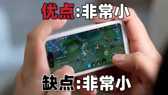 “真给你做出小屏了你用吗！”蓝狐NX1
