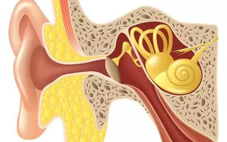 万能中文:空耳《干物妹小埋》