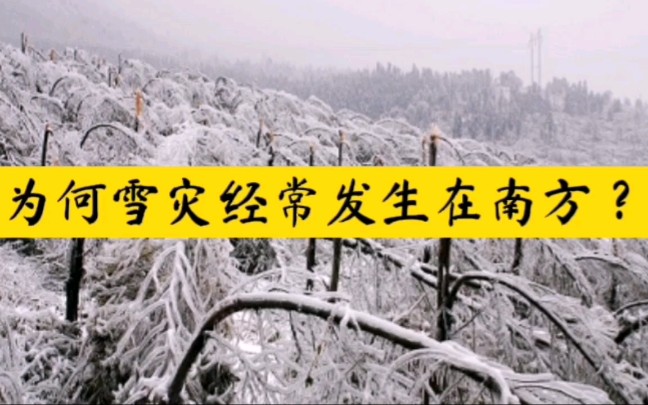 2008雪灾重灾区亲历者讲述那场雪灾哔哩哔哩bilibili