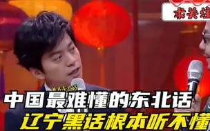 Download Video: 中国最难懂的东北话，黑龙江吉林越听越上头，辽宁黑话压根听不懂