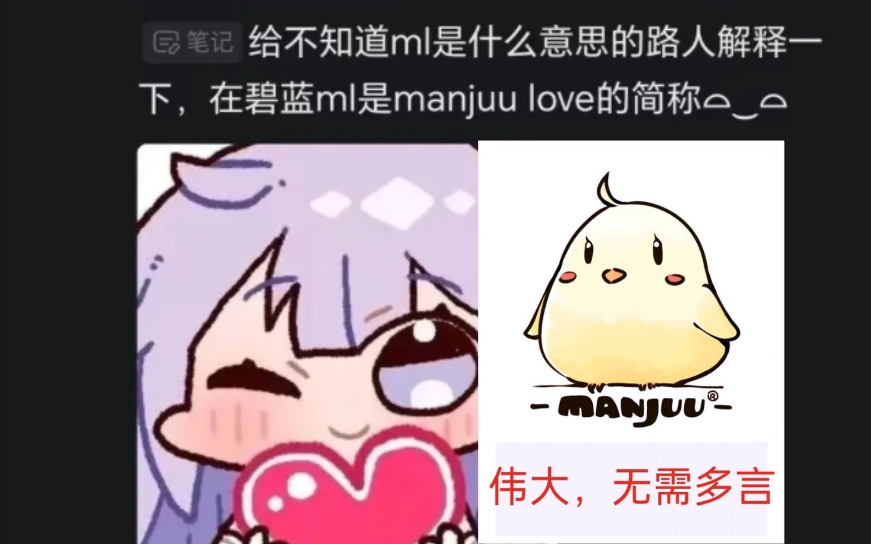 《ml是manjuu love的意思》碧蓝航线