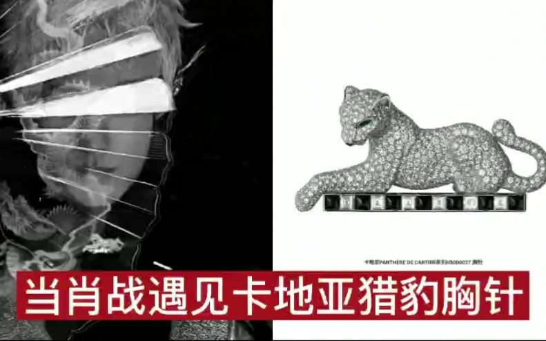 当肖战遇见卡地亚猎豹胸针