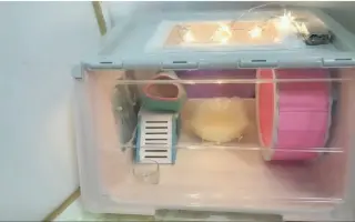 Diy整理箱 搜索结果 哔哩哔哩 Bilibili