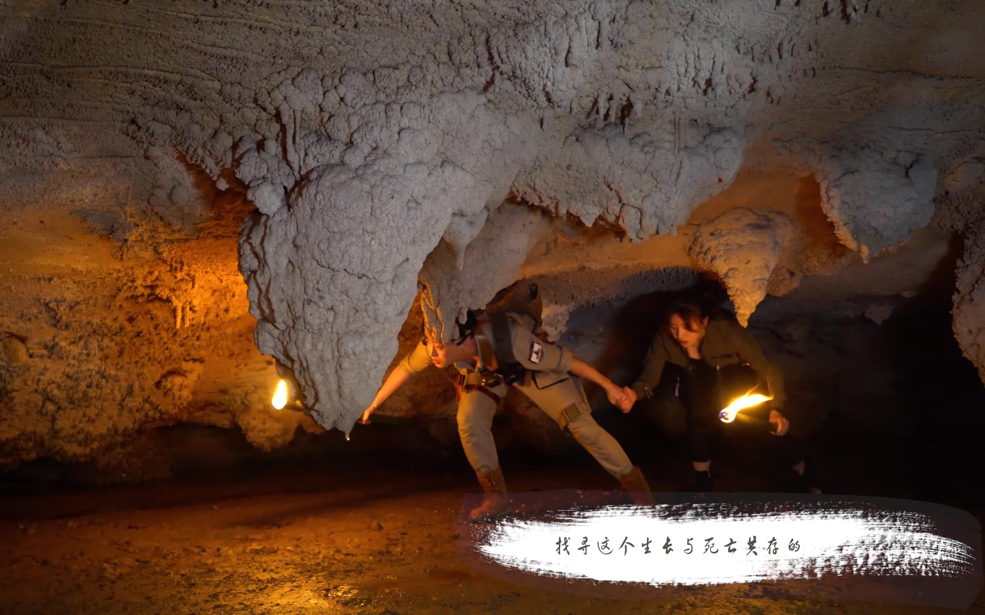 千年洞葬(预告片)-大探险家杨航 第五季