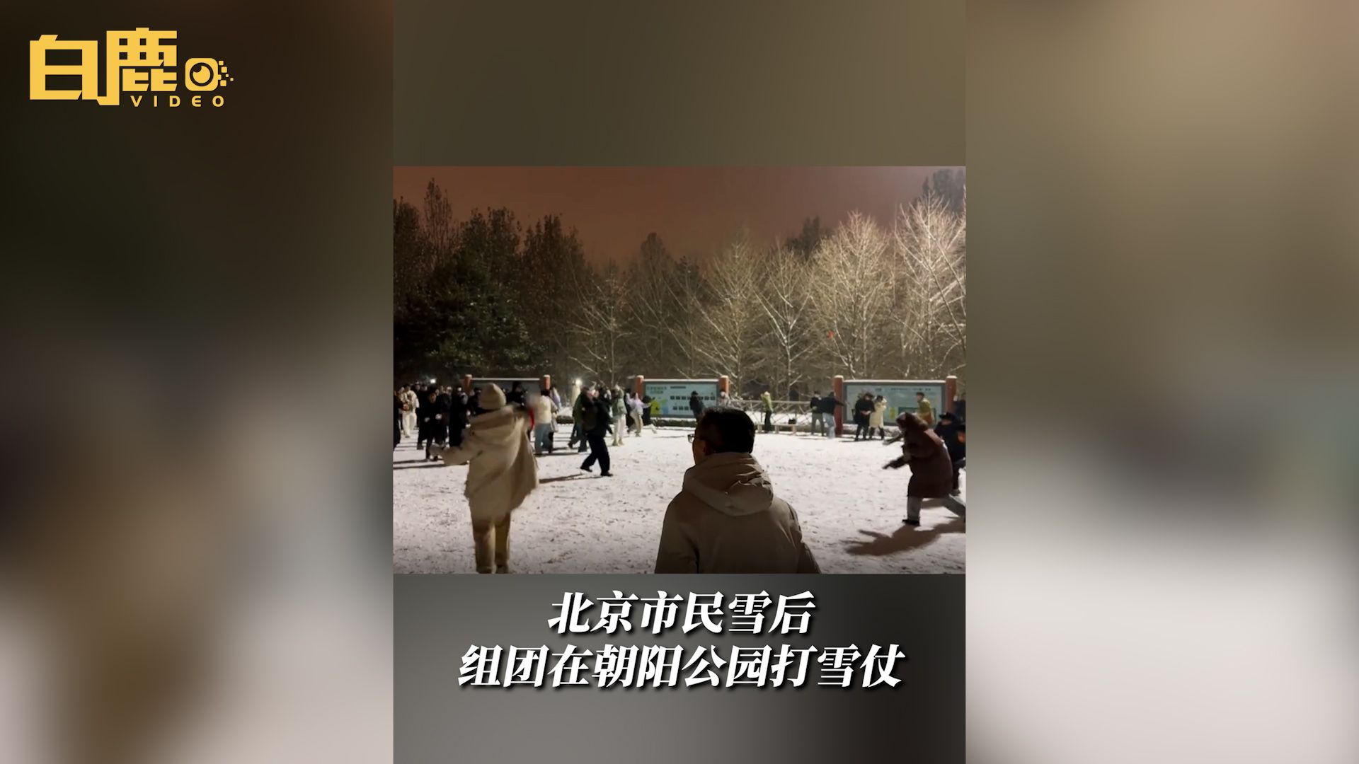 [图]北京市民雪后组团在朝阳公园打雪仗