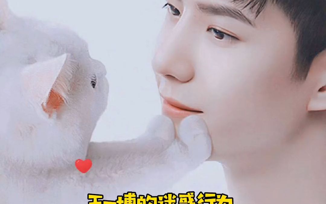 反正他在闭关,不会看见,94那我们就使劲造,就这样安利他!