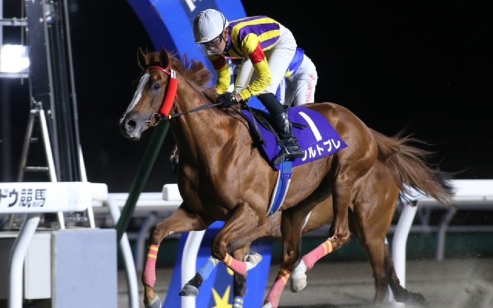 日本地方赛马20220428北斗杯h2シルトプレ